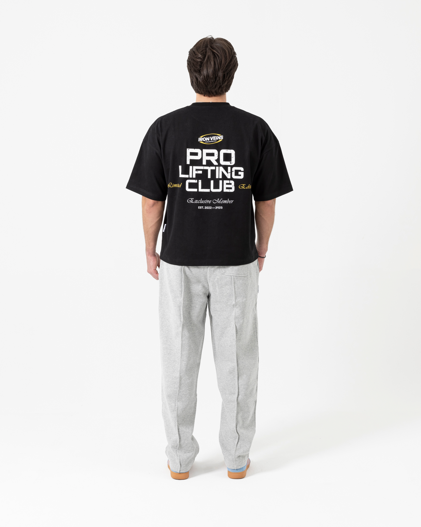 'PRO LIFTING CLUB' TEE